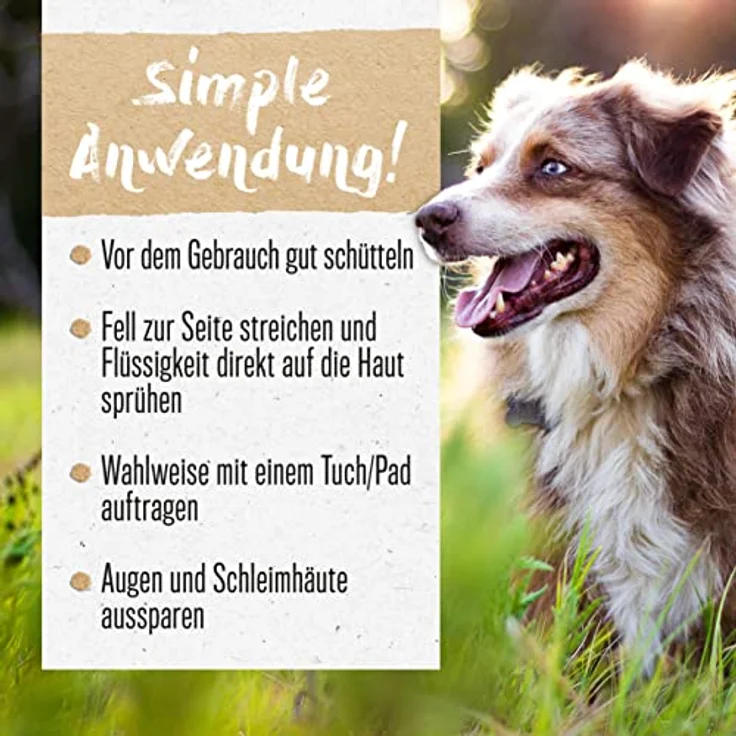 ALPHAZOO Brandlöscher Juckreiz Spray, 200 ml für Hunde, Katzen und Welpen, bei Juckreiz, trockener Haut, Pilzen & Milben, mit Kamille und Ringelblume – Bild 3