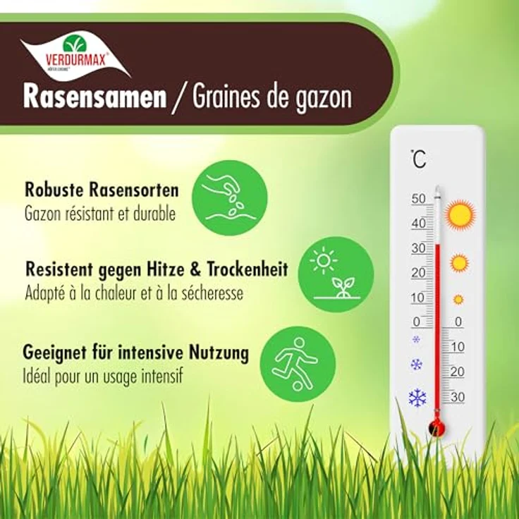 Höfer Chemie 1 kg Rasensamen, RSM-Premium-Mischung mit Lolium perenne PYRUS, BOKSER & ESQUIRE, trockenresistent & schnellkeimend – Bild 2