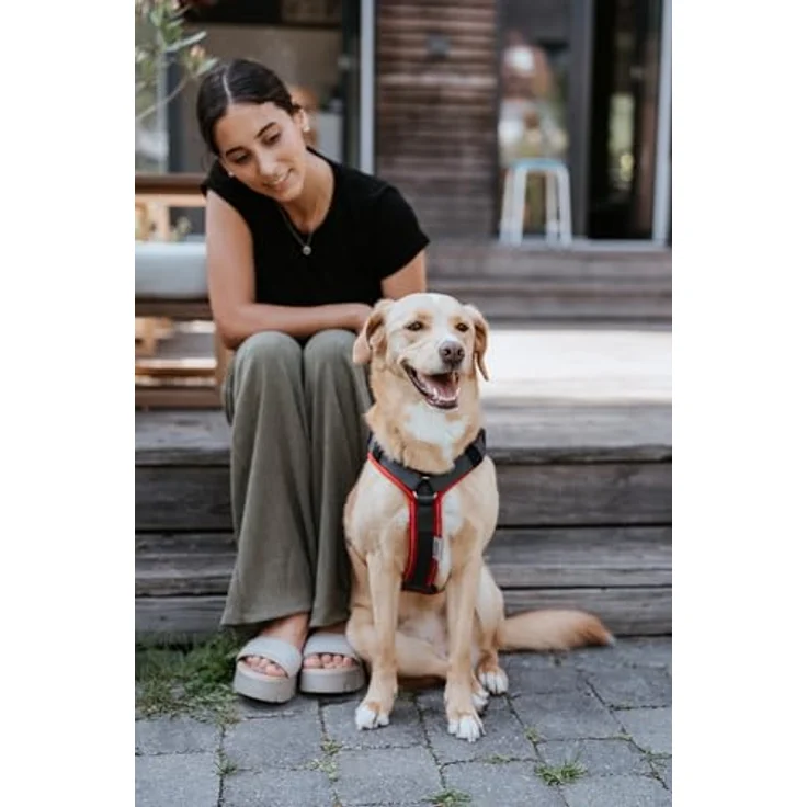 "Hunter Tierbedarf Hunde-Geschirr Maldon Up mit Griff 4-fach verstellbar, rot/grau" – Bild 4