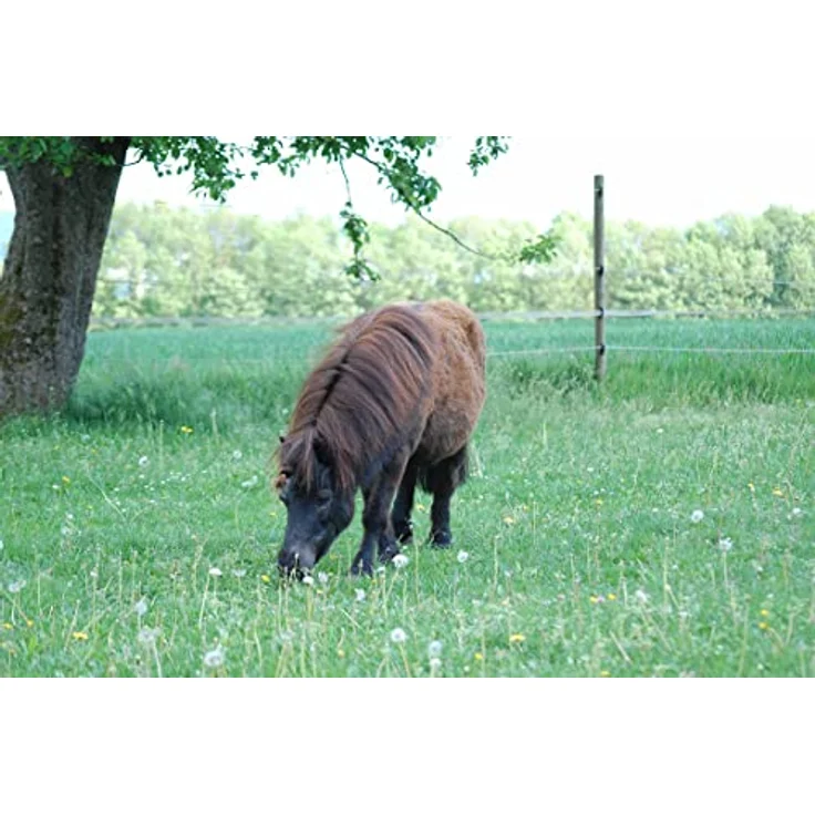 AMKA Ponytrense Wassertrense Stärke 12 mm Ringe 50 mm für Kleinpferde, einfach gebrochen, blau – Bild 5