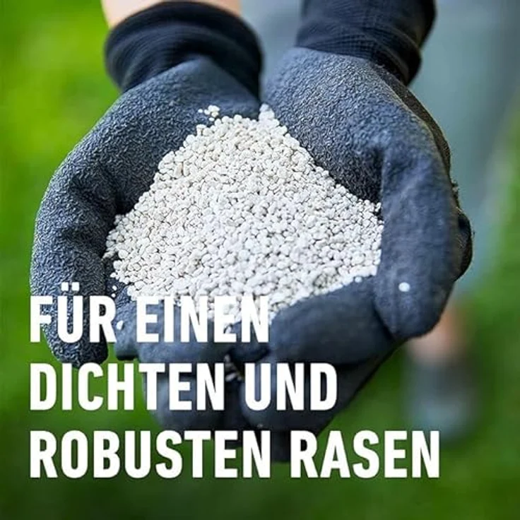 Compo GmbH Rasen Langzeit-Dünger Perfect 1,5 kg für 60 m² – Bild 6