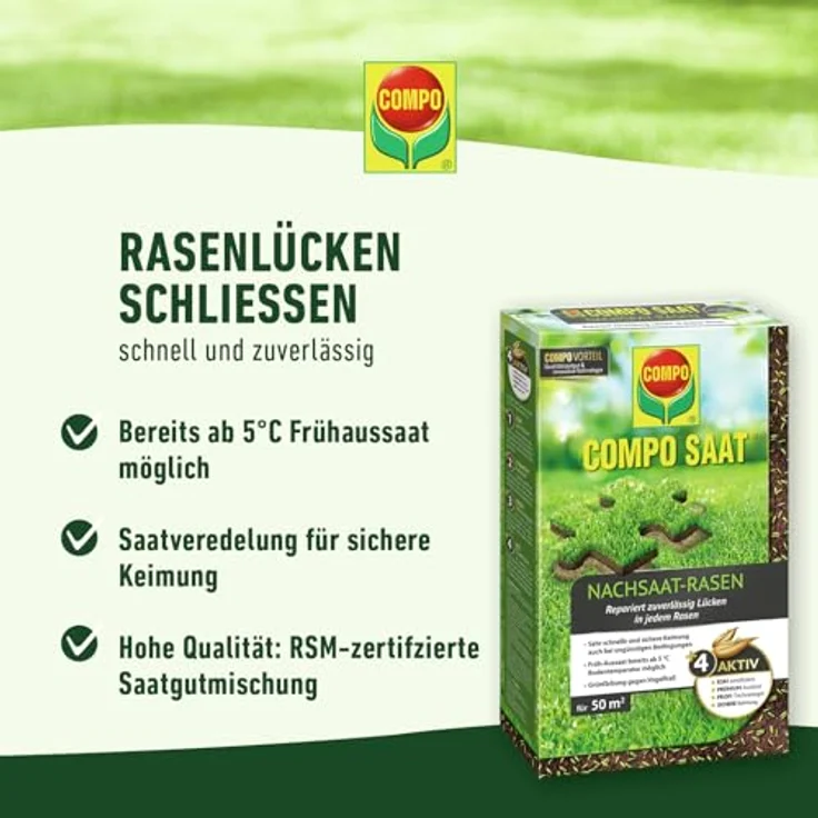 COMPO SAAT® Nachsaat-Rasen 2 kg für 100 m² – Bild 2