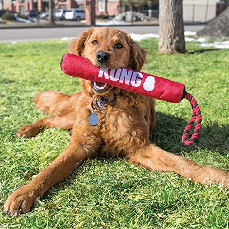 KONG Signature Stick mit Seil, mittelgroß – Bild 2