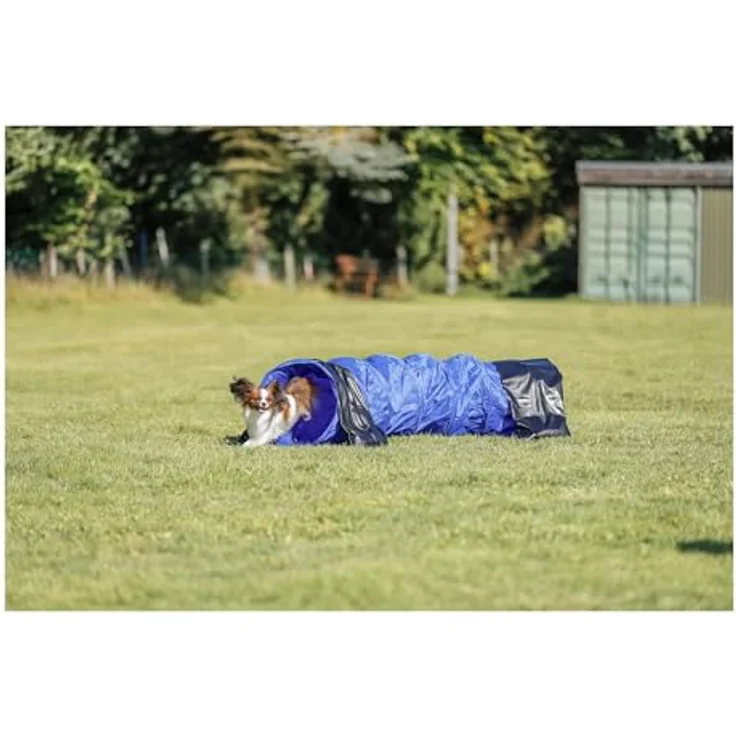 Trixie Dog Activity Agility Tunnel ø 40 cm 2 m blau – Bild 2