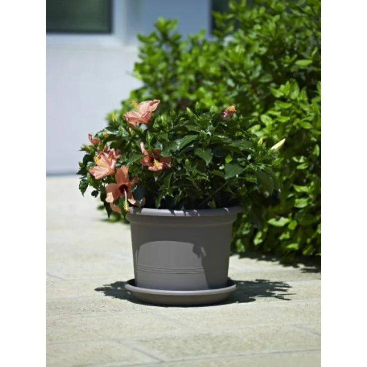 Euro3Plast 1475.G9 Untersetzer Medea 20 cm für Kübel Geo 20 cm, taupe – Bild 4