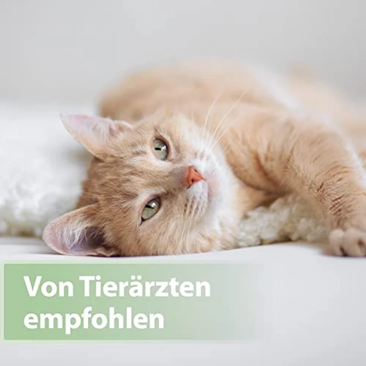 Felisept Zahnpflege Finger-Pads für Katzen, 50 Stück, zur Plaque-Reduktion und frischem Atem – Bild 5