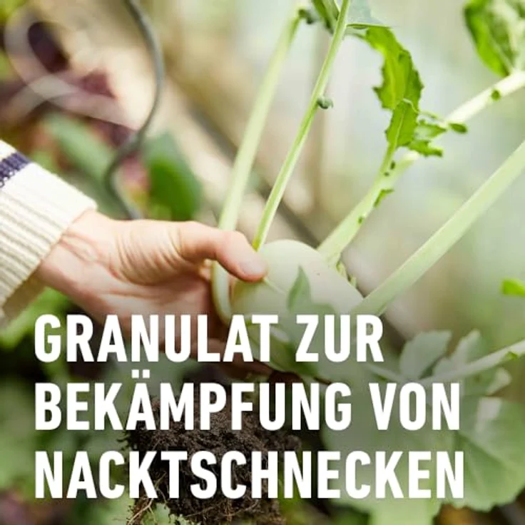 COMPO® Schneckenkorn, 1,1 kg – Bild 5