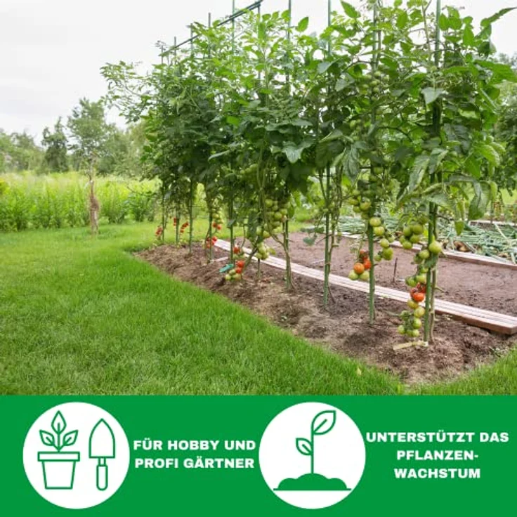 Novatool 50 Tomatenstangen Rankhilfe Ø 5 mm x 1100 mm | Tomatenspiralstäbe verzinkt | Rankstäbe Blumenhalter Pflanzstäbe Tomatenstab – Bild 5