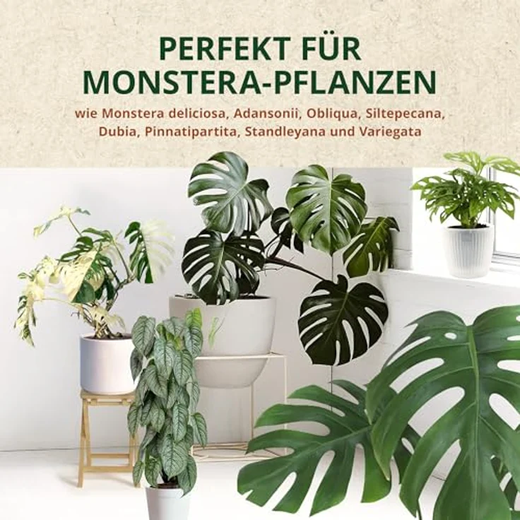 OraGarden Substrat Erde für Monstera, Blumenerde, Karnivorenerde Spezial Premium (3L) – Bild 5