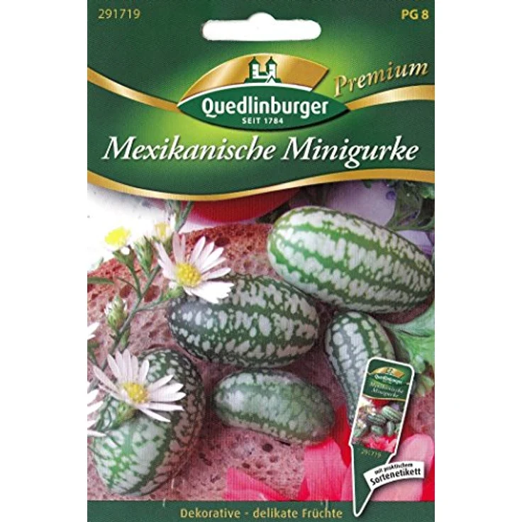 QUEDLINBURGER Mexikanische Minigurke – Bild 2