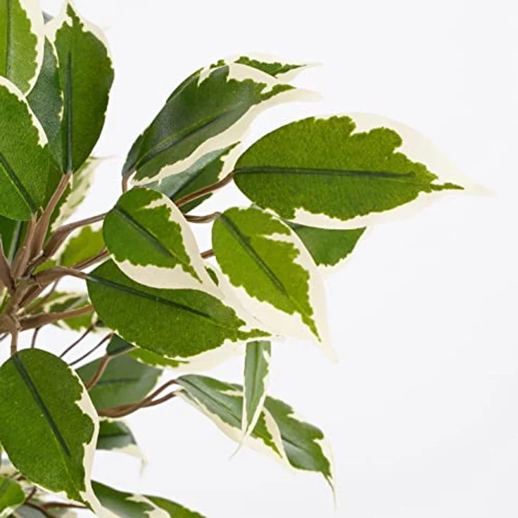 Mica Kunstpflanze Ficus Natasja grün bunt im Topf – Bild 3