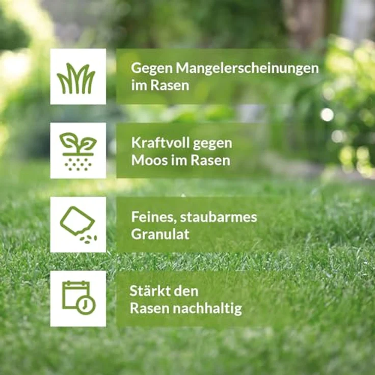 TerraDomi 25kg Eisendünger granuliert abgestimmt auf vermooste Rasenflächen für ca. 1000m² – Bild 3