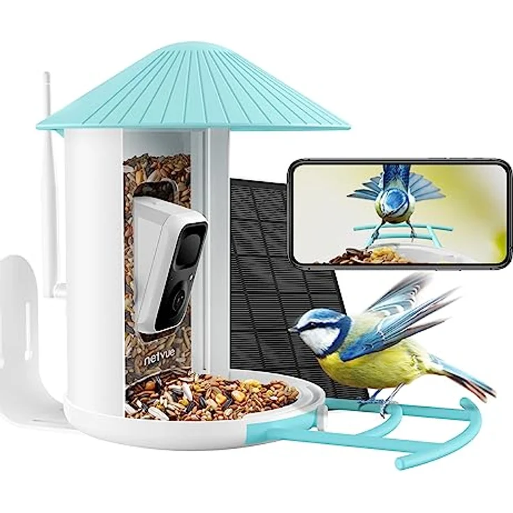 NETVUE Birdfy Vogelhaus mit Kamera, Vogelfutterstation, Futterstationen für Wildvögel, Vogelfutterhaus mit 1080P Kamera Video Aufnehmen, Vogelfutterspender Kamera Vögel Erkennung (Birdfy Lite+Solar) - Preisvergleich – Bild 1