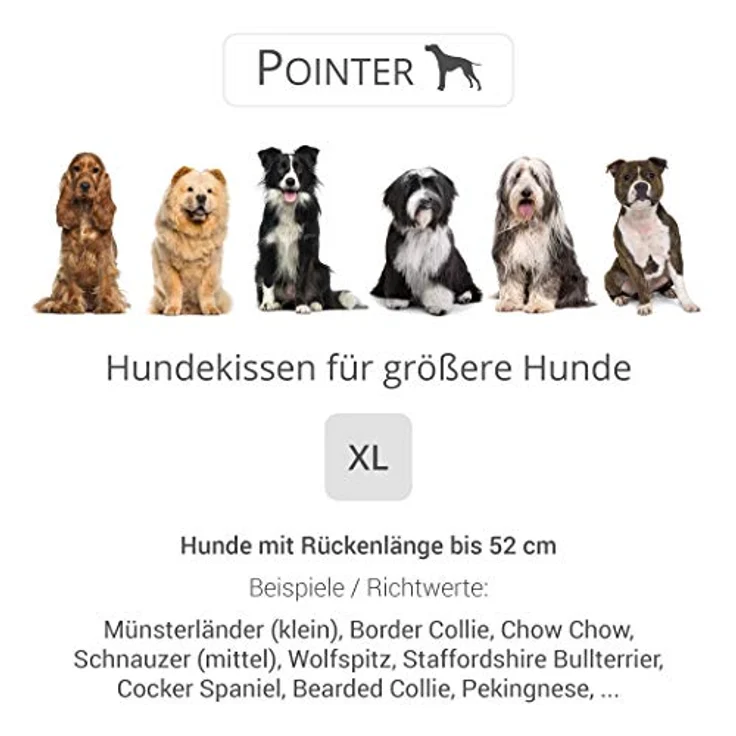Pointer | Hundekissen Urban - orthopädisch, waschbar, robust, bequem (XL - 70x60 cm, Grau) – Bild 4