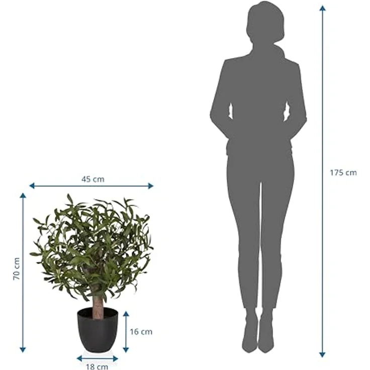 hjh OFFICE Kunstpflanze Olive S 70 cm - Immergrün, Pflegeleicht, Realistische Nachbildung aus Kunststoff & Kunstseide, Grün, Ideal für Indoor und geschützten Outdoorbereich – Bild 4
