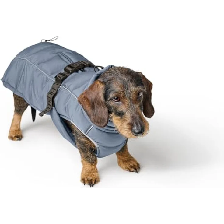 Hunter Tierbedarf Hundemantel Paxson Dachshund taubenblau, wasserabweisend, reflektierende Elemente, individuell einstellbar – Bild 6