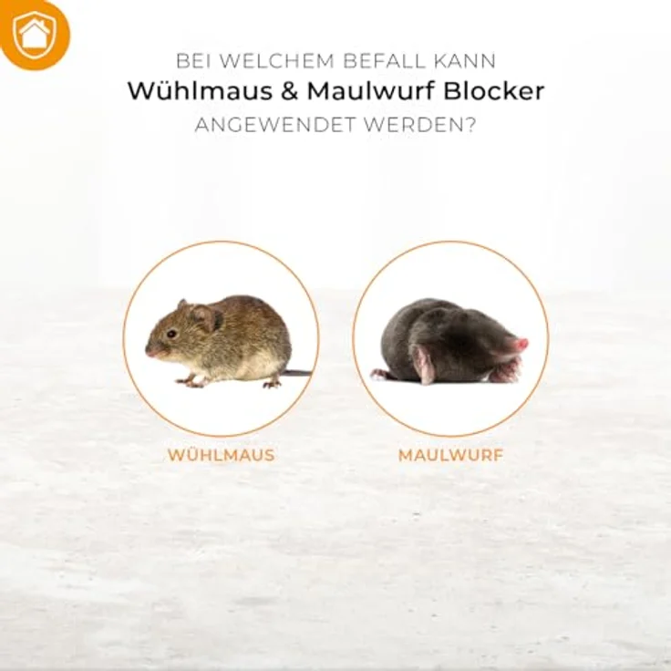 Protect Home Wühlmaus & Maulwurf Blocker, Vergrämungsmittel mit sofortiger Wirkung, 100 g – Bild 3