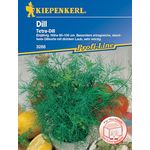 Kiepenkerl Dill Tetra, eine Dillsorte die sehr robust wächst, größeres und kräftigeres Laub als andere Sorten
