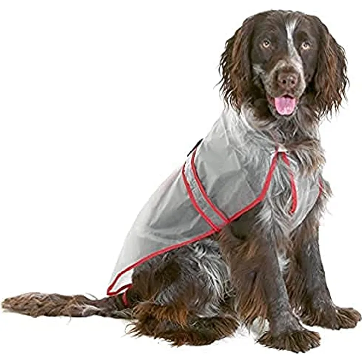 Karlie Regenmantel Classic L: 42 cm, Transparent, verstellbarer Bauchgurt, Schlaufe zur Fixierung an der Rute