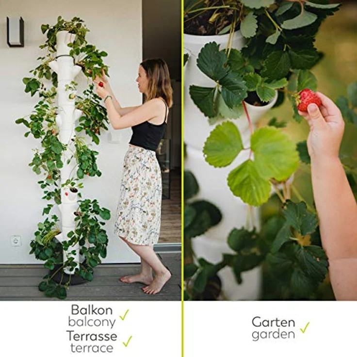 GUSTA GARDEN Sissi Strawberry (Infinity, anthrazit/grau) - Pflanzgefäß/Topf/Pflanzturm/Hochbeet für Erdbeeren - für Balkon, Garten und Terrasse - Erdbeeren und Kräuter anpflanzen - Preisvergleich – Bild 4