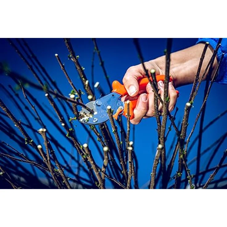 Original Löwe 5 Profi Amboss Gartenschere 5.104 mit rostfreier und antihaftbeschichteter Stahlklinge - handliche und kleine Ambossschere ideal zum Schneiden von Obstbaum Apfelbaum Kirschbaum Links- und Rechtshänder klein und mittelgroß – Bild 3