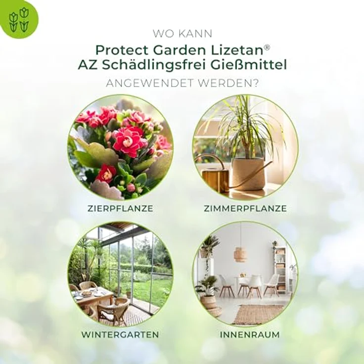 Bayer Schädlingsfrei Lizetan Gießmittel AZ 30 ml – Bild 4