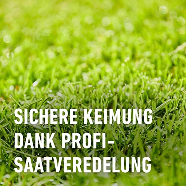 COMPO SAAT Nachsaat-Rasen, 2 kg Eimer für 100 qm – Bild 7