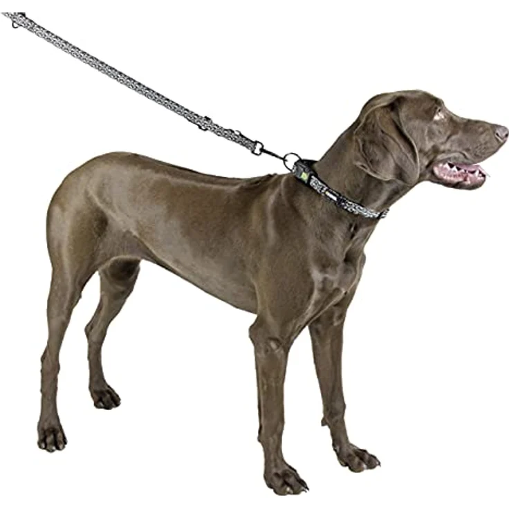 Kerbl 81049 Halsband Shiny Night 20mmx40-55cm, 0.058 kg – Bild 2