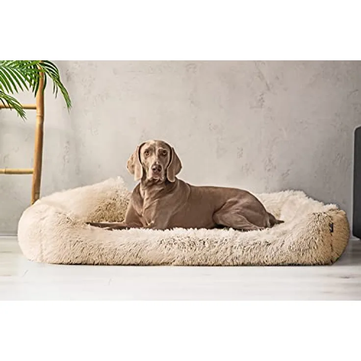 tierlando Orthopädisches Hundebett PEDRO Shaggy – kuschelig, flauschig, waschbar, langer Plüsch, Langflor, 160x110cm, Beige