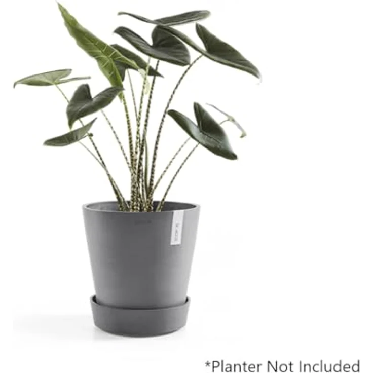 ECOPOTS Amsterdam Unterschale auf Rädern - Grau Ø 34 cm – Bild 3
