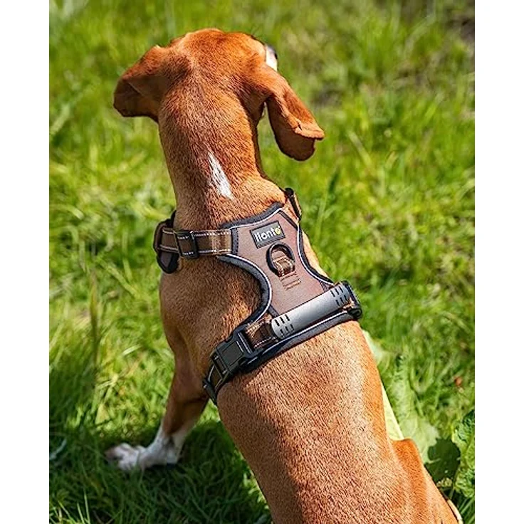 lionto Hundegeschirr gepolstert Anti Zug Geschirr reflektierend Sicherheitsgeschirr verstellbar, Größe S, braun – Bild 3