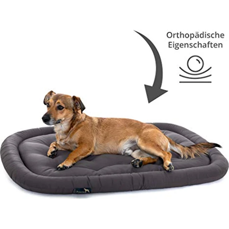 Pointer | Hundekissen waschbar, orthopädisches Hundebett für kleinere Hunde (M - 70x50 cm, Grau) – Bild 4