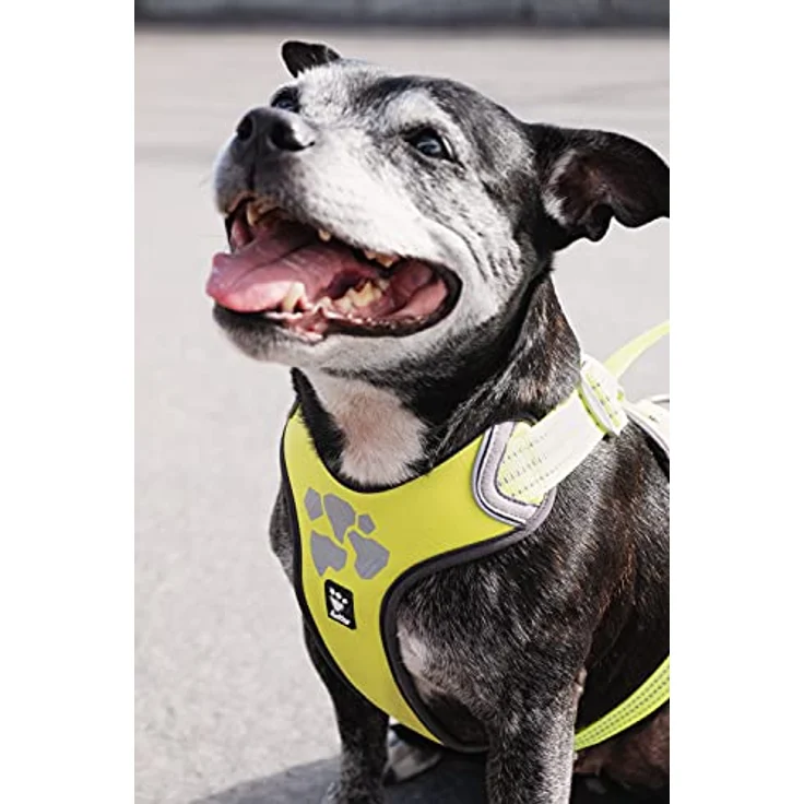 Hurtta Weekend Warrior Hundegeschirr für Grosse Hunde, Neon Gelb 80-100 cm – Bild 2
