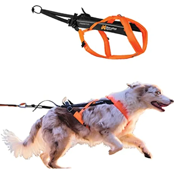 Non-Stop Dogwear Freemotion Geschirr 5.0, Schwarz/Orange - Ergonomisches Zuggeschirr mit gepolsterter Halsöffnung