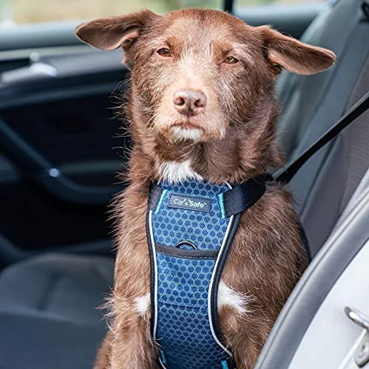 Company of Animals CarSafe Crash-getestetes Hunde Sicherheitsgeschirr, für kleine Hunde (Größe S), bis 32 kg / 70 lbs, gepolstertes Design, vollständig reflektierend, atmungsaktiv, auch für Spaziergänge geeignet – Bild 2