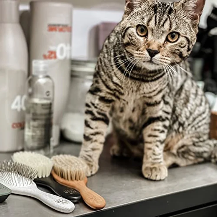 LucyBalu® Katzenbürste Kurzhaar & Langhaar | Fellbürste für Katzen | Unterfellbürste Katze | Katzenkamm zur Fellpflege von Katzen | Tierhaarbürste | Katzenhaarbürste mit Metallborsten & Holzgriff weiß – Bild 5