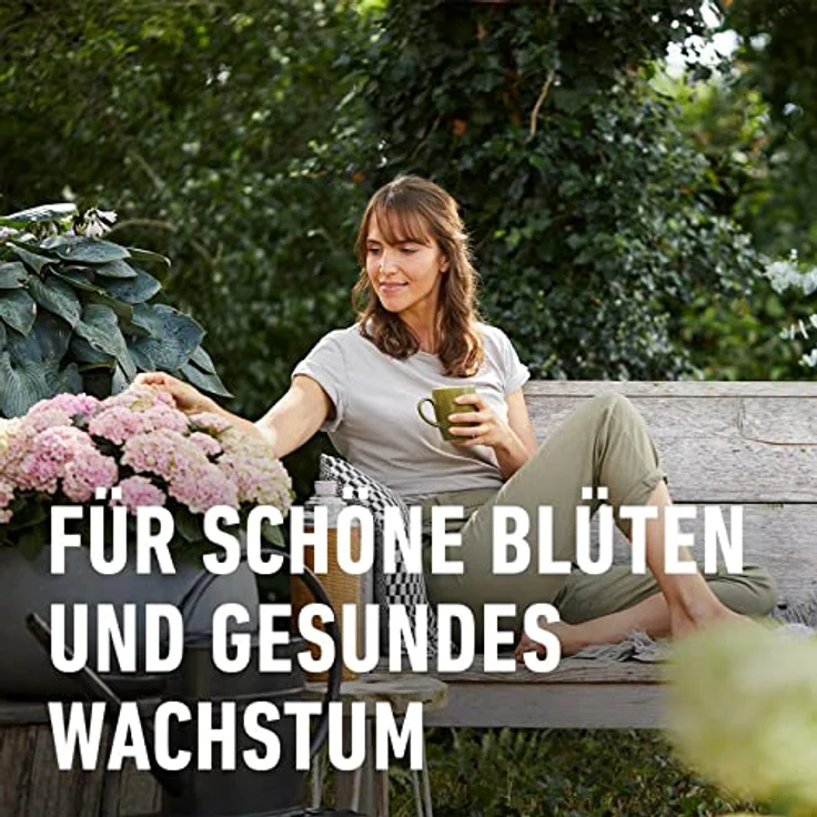 Compo Rhododendron Langzeit-Dünger neu, 850 g – Bild 8