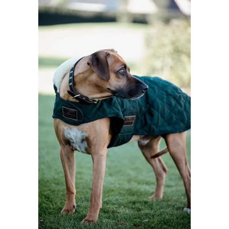 Kentucky Hundemantel 160g, Größe: XL, DarkGreen - Extra Wärme + Komfort, Sehr widerstandsfähig – Bild 2