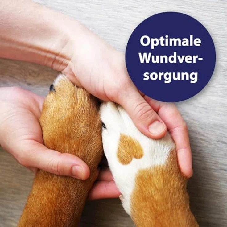 Canosept Wundspray, 75 ml für Hunde, optimale Wundversorgung und schmerzfreie Anwendung – Bild 3