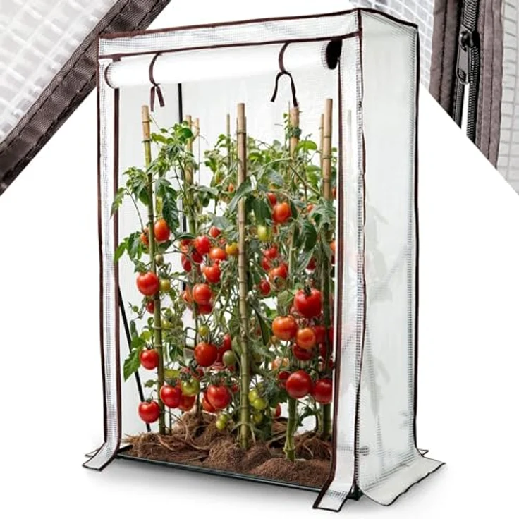 Arebos Tomatengewächshaus Foliengewächshaus | 100 x 50 x 150 cm | Stabile Konstruktion, optimale Belüftung | Gewächshausfolie, grün – Bild 1