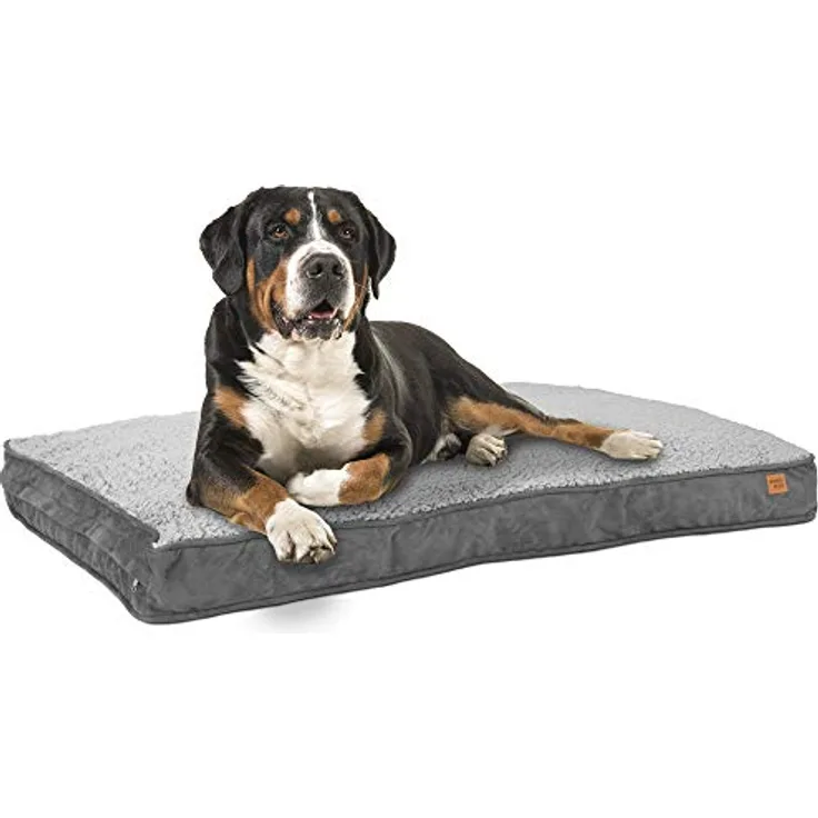ib style® Happy Dreams Haustierbett | Hundematte | mit Reißverschluss | Anti-Rutsch Unterseite | XL (120x78cm) | Grau