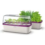 Romberg BoQube L Plus Pflanzsystem, Farbe Weiß-Pflaume, PAK-frei