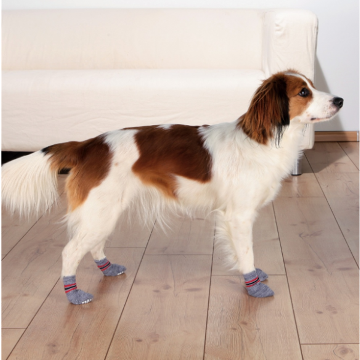 Trixie Hundesocken Anti-Rutsch 2 Stück grau L-XL