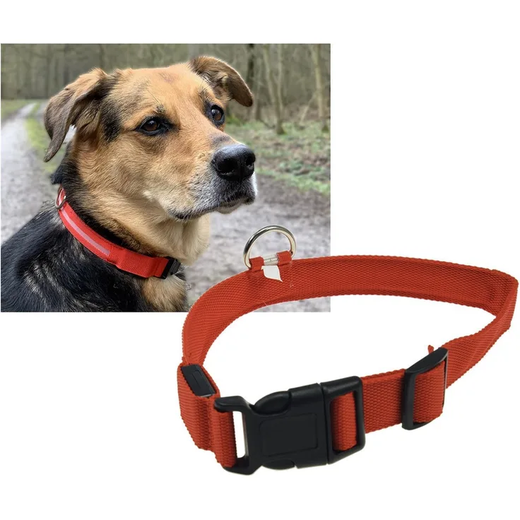 ChiliTec Hunde-Halsband Größe M, rot, mit LED-Licht