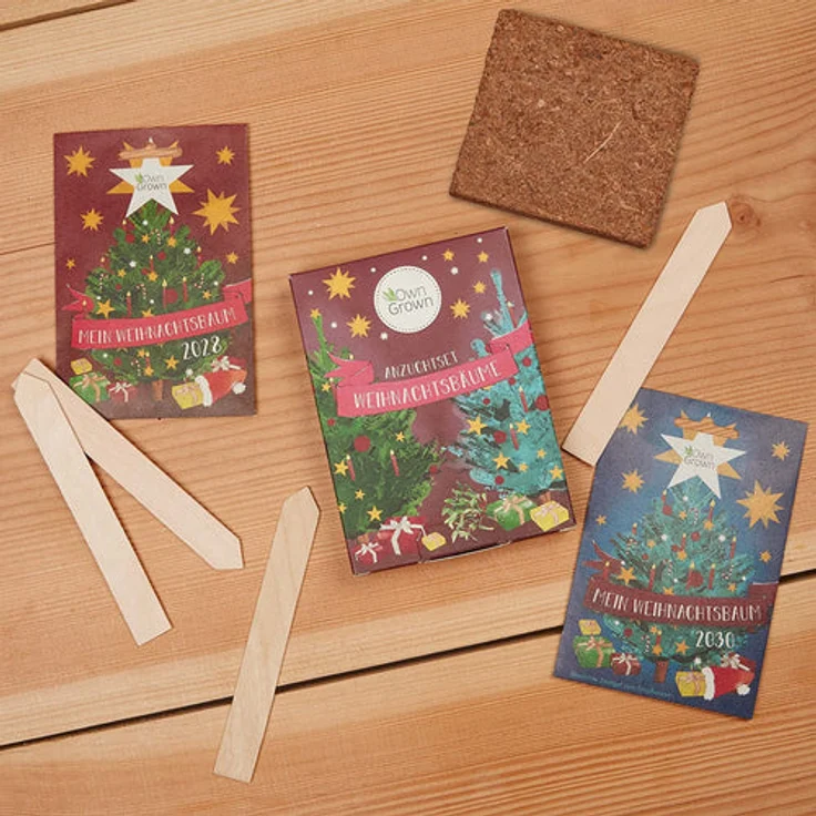 Weihnachtsbaum Samen Geschenk Set Saatgut Geschenk Set Zum Tannenbaum Pflanzen – Bild 3