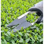 KOVA Buchsbaumschere, 1 Stück, Schafschere mit Rundfeder und geschmiedeten Klingen, Klingenlänge 14 cm