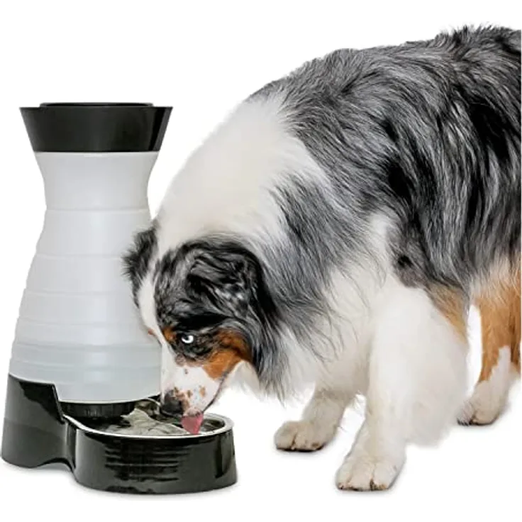 PetSafe Gesundes Pet Water Station Hunde und Katzen Wasser System mit Edelstahl Schüssel
