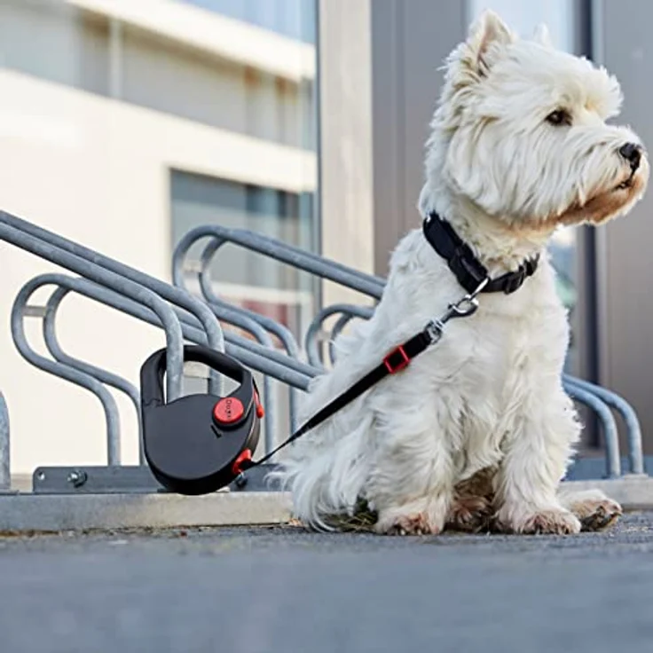 Dogxi Hundeleine Rollleine 5m 25kg Griff aufklappbar Gurtzunge im Auto befestigen kleine mittelgroße Hunde schwarz mit Karabiner Leine 11mm breit ausziehbar verstellbar einziehbar – Bild 2