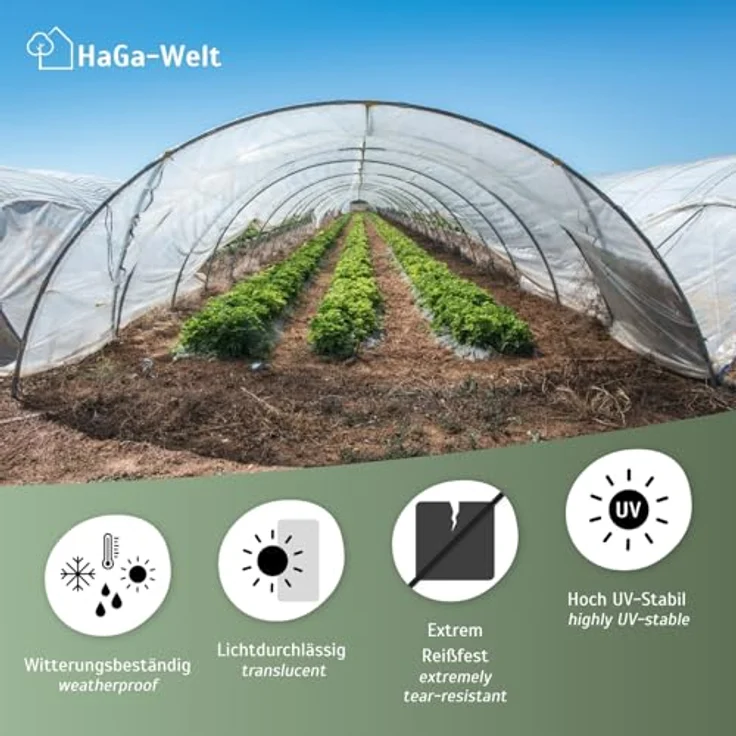 HaGa UV4 Gewächshausfolie 12m x 20m transparente PE Folie, witterungs- und UV-beständig für Folientunnel und Tomatenhaus – Bild 2