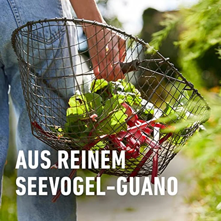 Compo BIO NaturDünger Guano 3 kg – Bild 5